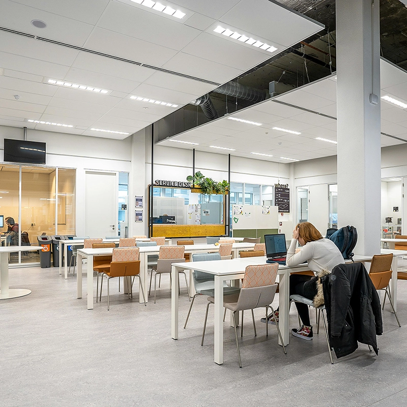 Open workspace with commercial T-bar and drop ceilings by Express Drywall Services