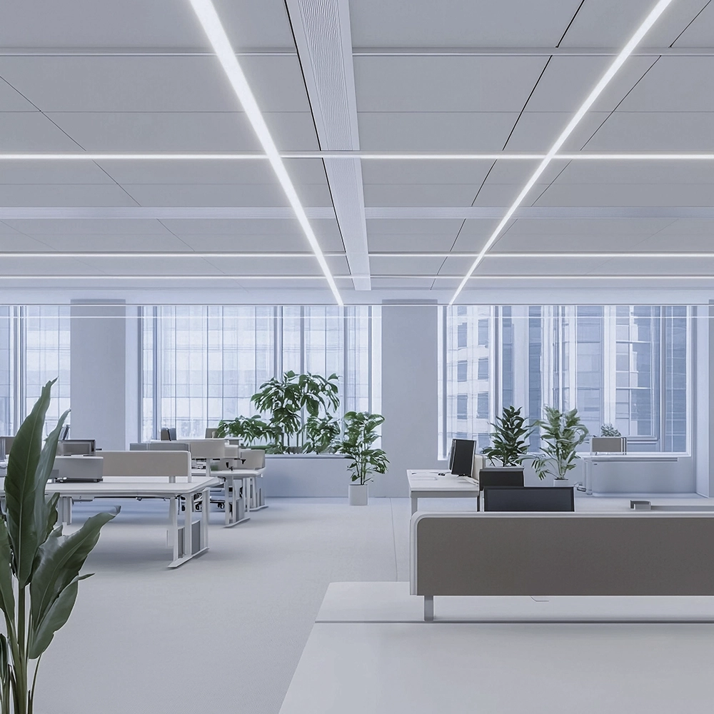 Bright office interior finished with commercial T-bar and drop ceilings by Express Drywall Services.