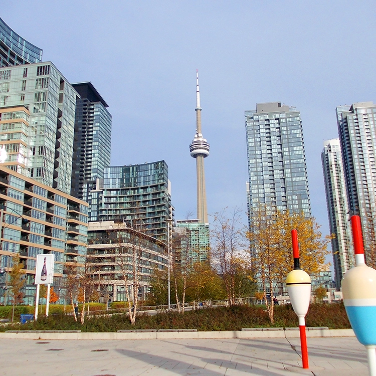 Toronto skyline with CN Tower, representing areas covered by drywall services Toronto from Express Drywall Services.