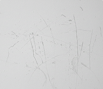 Scratched wall surface prior to residential drywall installation by Express Drywall Services.