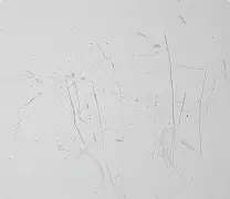 Scratched wall surface prior to residential drywall installation by Express Drywall Services.
